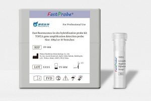 FP-008-TOP2A FISH PROBE